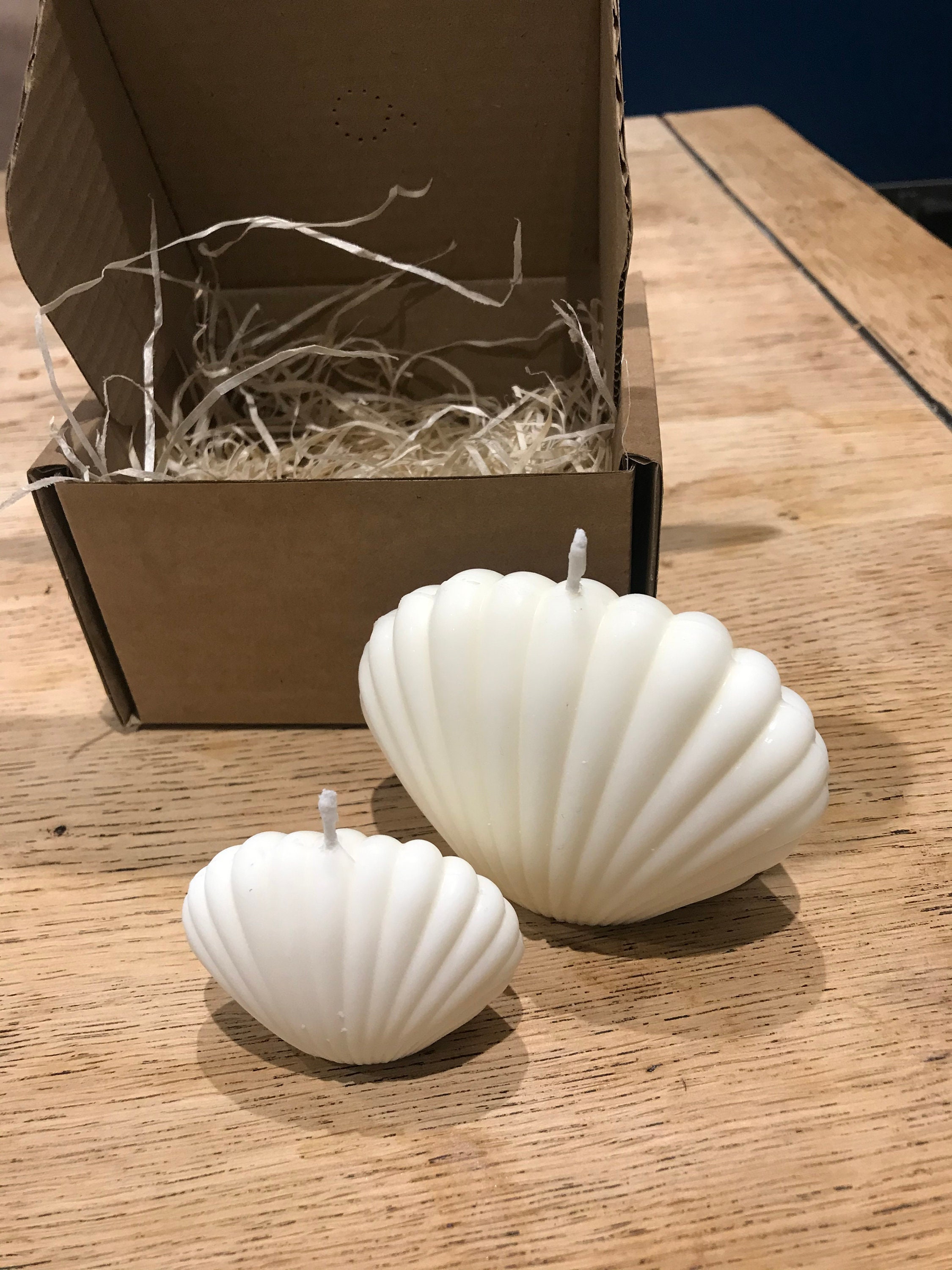 Scallop Sea Shell Candle | White Soy | Hand Poured | Natural