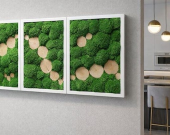 Preserved MOSS art set, Green Wall art, Natural wall decoration Stabilized Ball Moss Wall Art with Pine Wood Disc Path Modern Natural Frame