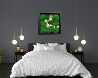 Square frame with moss ball and Wood discs, Preserved moss, Natural decoration, Moss decoration, Preserved Moss Art Framed, moos bild,