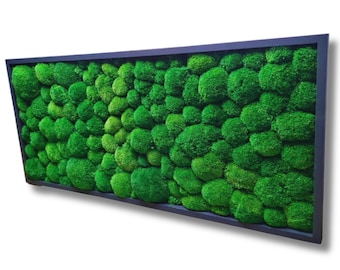 Moss Wall Art with Preserved Ball Moss, Handmade Natural Wall Decor, Eco-Friendly Home Decorat, Vertical Garden Style, Preserved Moss Decor