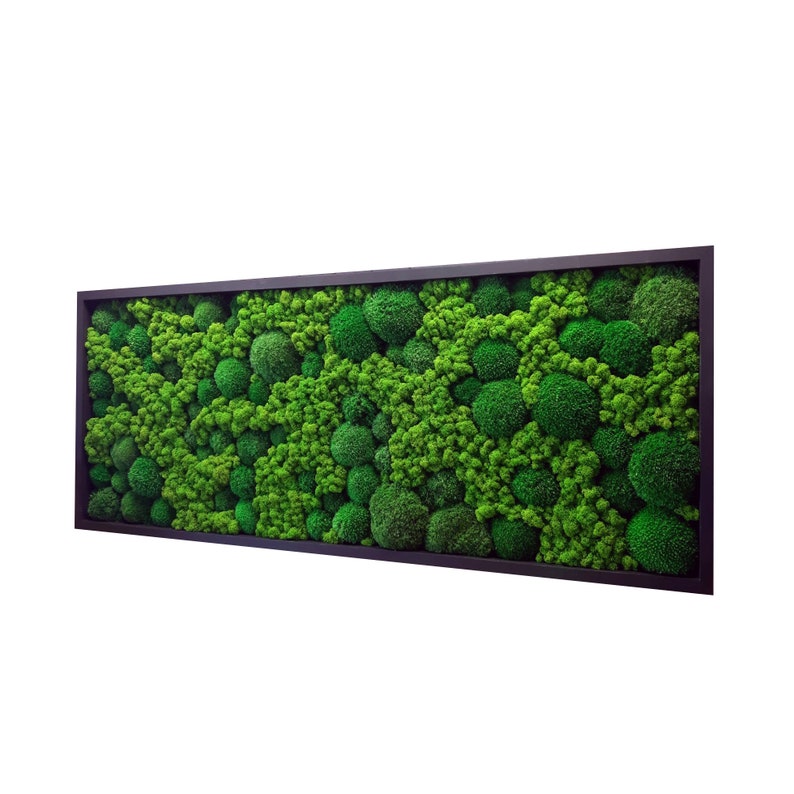 Op de afbeelding: Een rechthoekig wandkunstwerk met een dichte opstelling van geconserveerd mos in diverse tinten levendig groen. De compositie bevat talloze ronde mosclusters en getextureerde vlakken, gevat in een donkere, slanke lijst.
