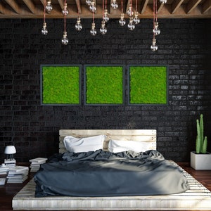 Three frames with reindeer moss, Wall Art Moss decorations, Real Moss, Nature Room Decor, Preserved Moss Art, Real Moss, Moss Frame