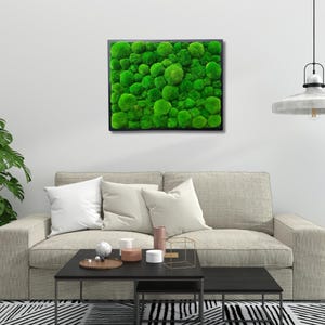 Moss wall art, Moss Ball, frames with pillow moss, Living moss, ball moss pictue, pillow moss frame, preserved pillow moss art, moos bild