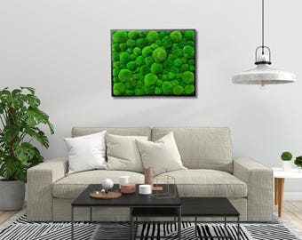 Moss wall art, Moss Ball, frames with pillow moss, Living moss, ball moss pictue, pillow moss frame, preserved pillow moss art, moos bild