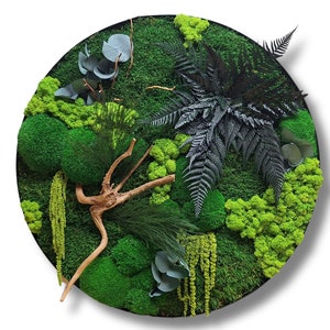 A picture of moss and ferns in a round frame to hang on the wall. Wall art with moss and plants. green vertical gardens. Green home accessories. Forest at home. Wall decorations