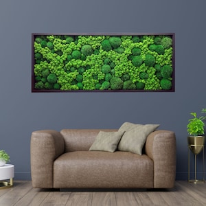 Preserved Moss Art Framed, Green wall art, Reindeer moss frame, ball moss design, green wall arts, Elegant Moss Wall Art, Unique Wall Art