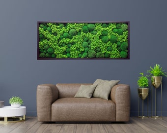 Ball Moss Wall Art 3D | Preserved Cushion Moss Frame | Zero Maintenance Greenery Panel | Unique Biophilic Decor