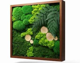 Moss wall art, Moss frame, preserved flowers frame, Reindeer moss picture, Living moss frame, Moss ball, Moss decoration, Green wall art