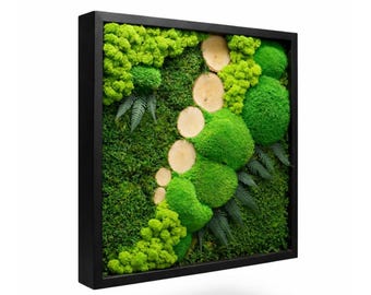 Moss frame, Moss wall art, Pressed flower frame, Forest on your wall, Living moss decor, Wall decor, Reindeer moss frame, Moss picture