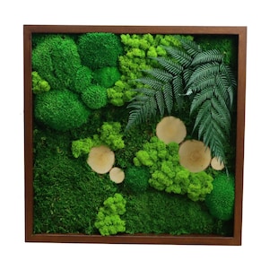 Moss wall art, Moss frame, preserved flowers frame, Reindeer moss picture, Living moss frame, Moss ball, Moss decoration, Green wall art