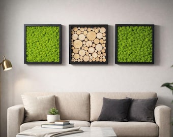 Three frames with Preserved Moss, Wall Art Moss, Decorations Preserved moss, Natural decoration, Office decoration, Moss Art, Moss Wall