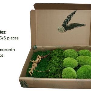Preserved moss DIY set, Moss DIY kit, Moss Wall Art Kit/DIY Moss Art/Moss and plant Hanging Wall Art/Do It Yourself/Craft Project for Adults