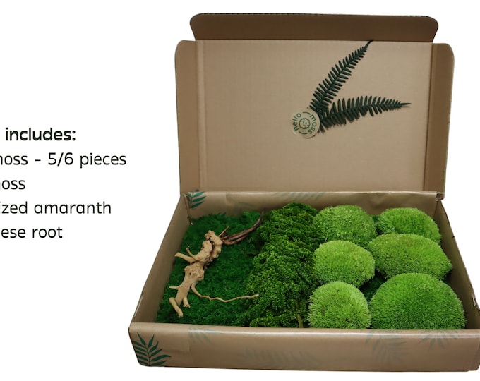 Preserved moss DIY set, Moss DIY kit, Moss Wall Art Kit/DIY Moss Art/Moss and plant Hanging Wall Art/Do It Yourself/Craft Project for Adults