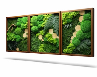 3 Moss frames, Moss wall art, preserved flower frame, Forest on your wall, Moss art, Living moss decor, Green art, Wall decor, Moosbild