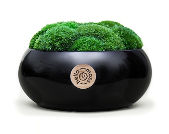Ceramic Bowl, Preserved moss, Minimalist decoration, Moss decor, Office Decor, Home plants, Eco-Friendly Home Decor, Real Moss