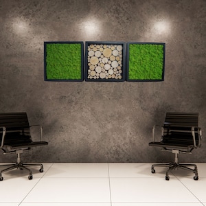 Three frames with Preserved Moss, Wall Art Moss, Decorations Preserved moss, Natural decoration, Office decoration, Moss Art, Moss Wall