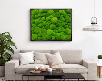 Moss wall art, Moss Ball, frames with pillow moss, Living moss, ball moss pictue, pillow moss frame, preserved pillow moss art, moos bild