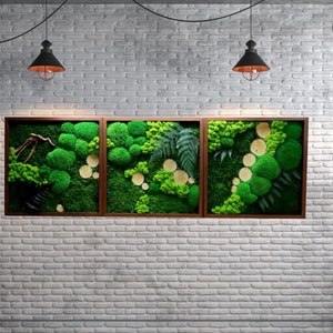 3 Moss frames, Moss wall art, preserved flower frame, Forest on your wall, Moss art, Living moss decor, Green art, Wall decor, Moosbild