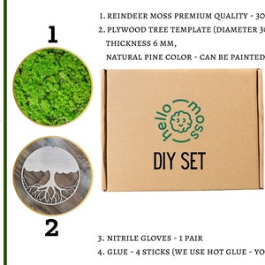Reindeer Moss Tree DIY set, Reindeer moss kit, Do it yourself moss tree, Moss Tree, Make your own moss tree, hand made gift, DIY moss gift
