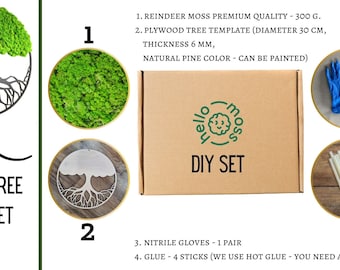 Reindeer Moss Tree DIY set, Reindeer moss kit, Do it yourself moss tree, Moss Tree, Make your own moss tree, hand made gift, DIY moss gift