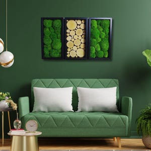 Può includere: Un'opera d'arte murale a trittico con tre pannelli incorniciati. Due pannelli mostrano muschio verde vibrante, mentre il pannello centrale presenta fette di legno circolari. L'opera d'arte è appesa sopra un divano verde con cuscini bianchi.