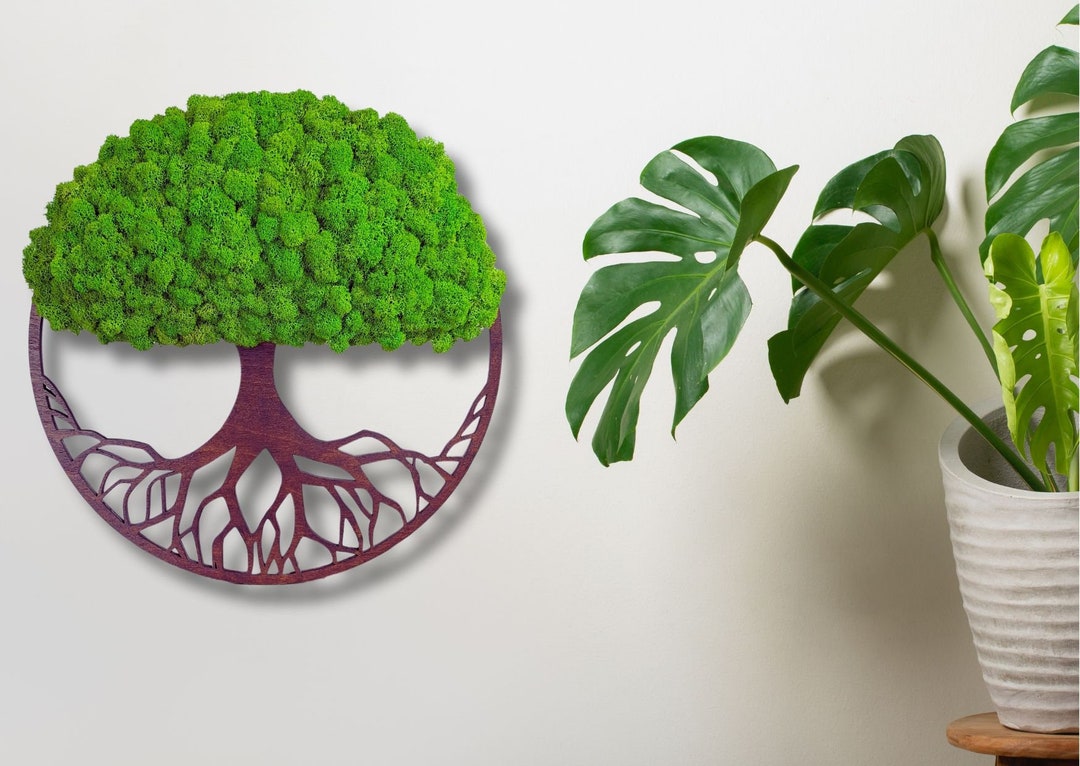 Real Moss Decor, Living Moss Wall Art Large, Tree of Life Ring ...