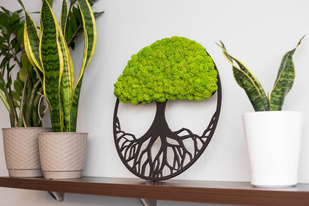 Real Moss Decor, Living Moss Wall Art Large, Tree of Life Ring