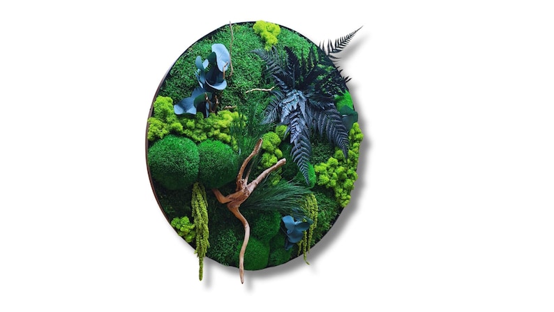 Moss art in a modern metal frame. Stabilized plants create a calming and stylish decoration for bathrooms, spas, or yoga rooms. A green masterpiece for living rooms or moss walls. Metal wall art that blends nature with contemporary design.