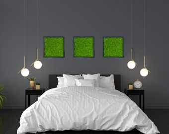 Moss frames, Preserved moss frame, Hand Made Moss Panels for a Moss Wall, Moss wall, Hande made, Art modern wall, Moss art wall