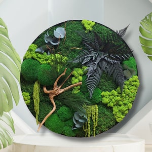round wall art. green accessories for home, office, spa and hotel. art scandinavian style. Image of green moss, flat moss, ferns and stabilized plants. vertical gardens. Green home accessories.