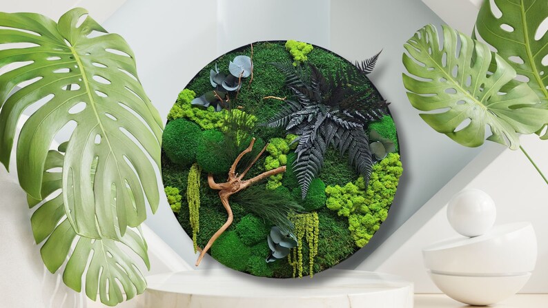 round wall art. green accessories for home, office, spa and hotel. art scandinavian style. Image of green moss, flat moss, ferns and stabilized plants. vertical gardens. Green home accessories.
