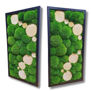 Long frame with moss ball and wood discs, Moss Ball, Preserved moss, Natural decoration, Moss Decoration, Wall moss, Moss decoration