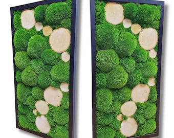 Long frame with moss ball and wood discs, Moss Ball, Preserved moss, Natural decoration, Moss Decoration, Wall moss, Moss decoration