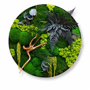 May include: A circular wall art piece featuring a dense arrangement of preserved green moss, bright lime-colored lichen, dark fern fronds, light-colored driftwood branches, and small grey-green eucalyptus leaves set within a thin black frame.