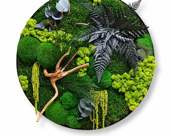 Round Moss Wall Art | Black Fern & Contrasting Moss Circle Frame | Zero Maintenance Biophilic Decor | Metal Frame