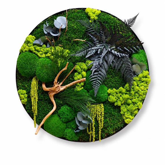 Round Moss Wall Art | Black Fern & Contrasting Moss Circle Frame | Zero Maintenance Biophilic Decor | Metal Frame