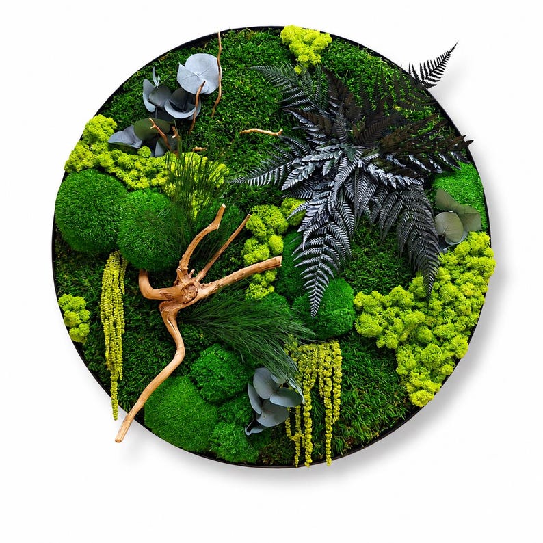 May include: A circular wall art piece featuring a dense arrangement of preserved green moss, bright lime-colored lichen, dark fern fronds, light-colored driftwood branches, and small grey-green eucalyptus leaves set within a thin black frame.