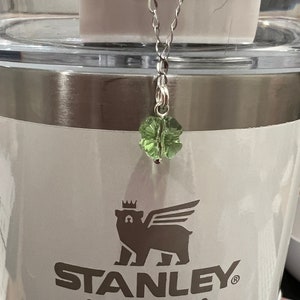 Stanley Cup Tumbler Charm Accessories for Water Bottle Stanley Cup