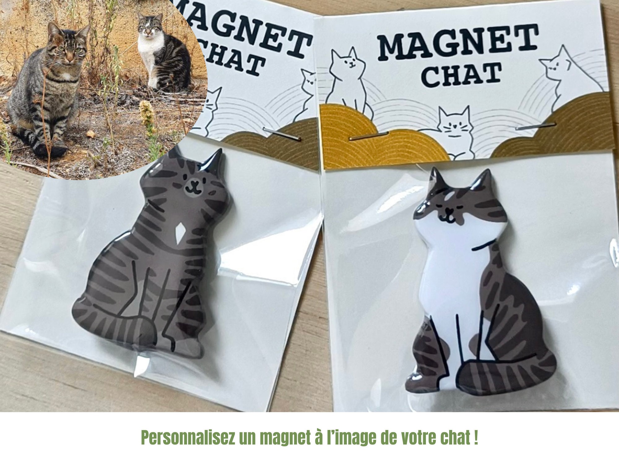6 x Chat magnet frigo aimant animaux pour enfant - Aimants décoratifs  puissants