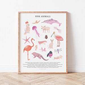 Illustrazione scientifica di un animale rosa