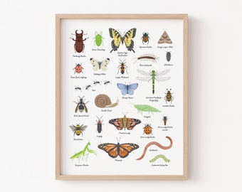 Garden Bug Print, Insect Print, Bugs Art Print, Nursery Wall Art, Kids Room Decor, Animal Nursery, Woodland Nursery