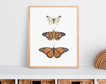 Beautiful Butterfly Art Print, Insect Print, Bugs Art Print, Nursery Wall Art, Kids Room Decor, Animal Nursery, Gift for Nature Lover