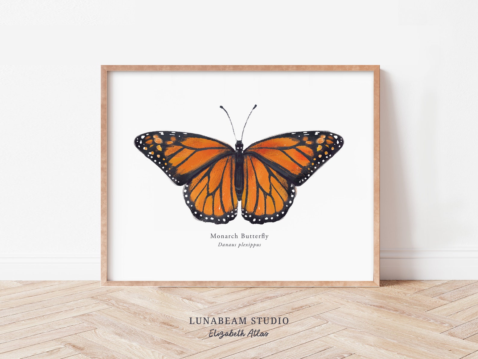 Monarch Butterfly Art Print: Orange Insect Wall Decor - Etsy