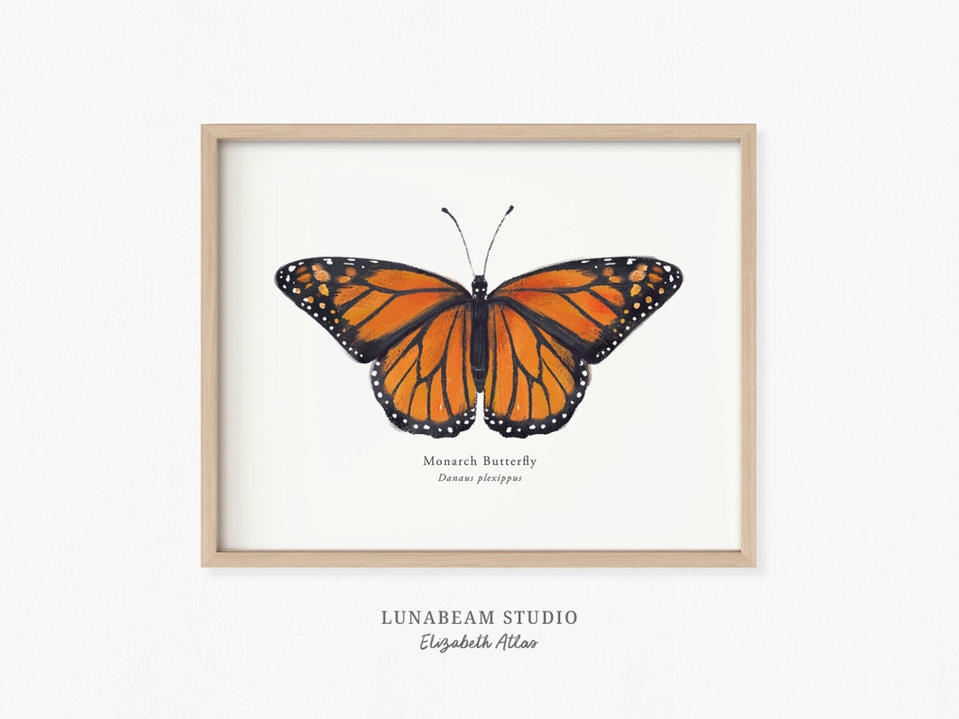 Juniper Print Shop Monarch Migration Print