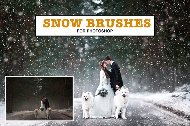 23 Snow Brushes for Winter Brushes, Christmas