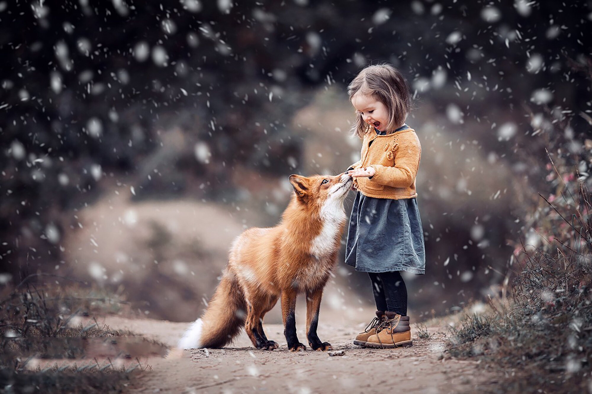 23 Snow Brushes for Winter Brushes, Christmas