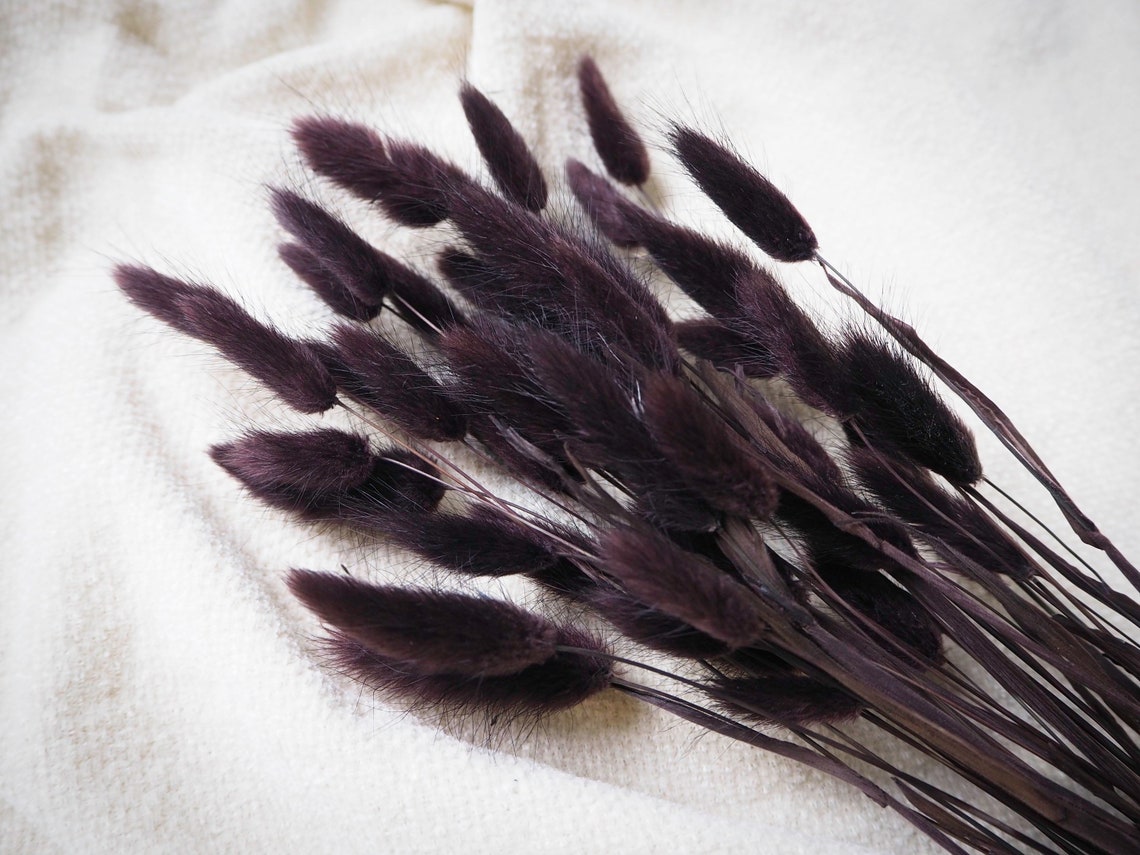 50 Espresso Black Bunny Tails Uk Bunny Tails Bunny Tail Etsy