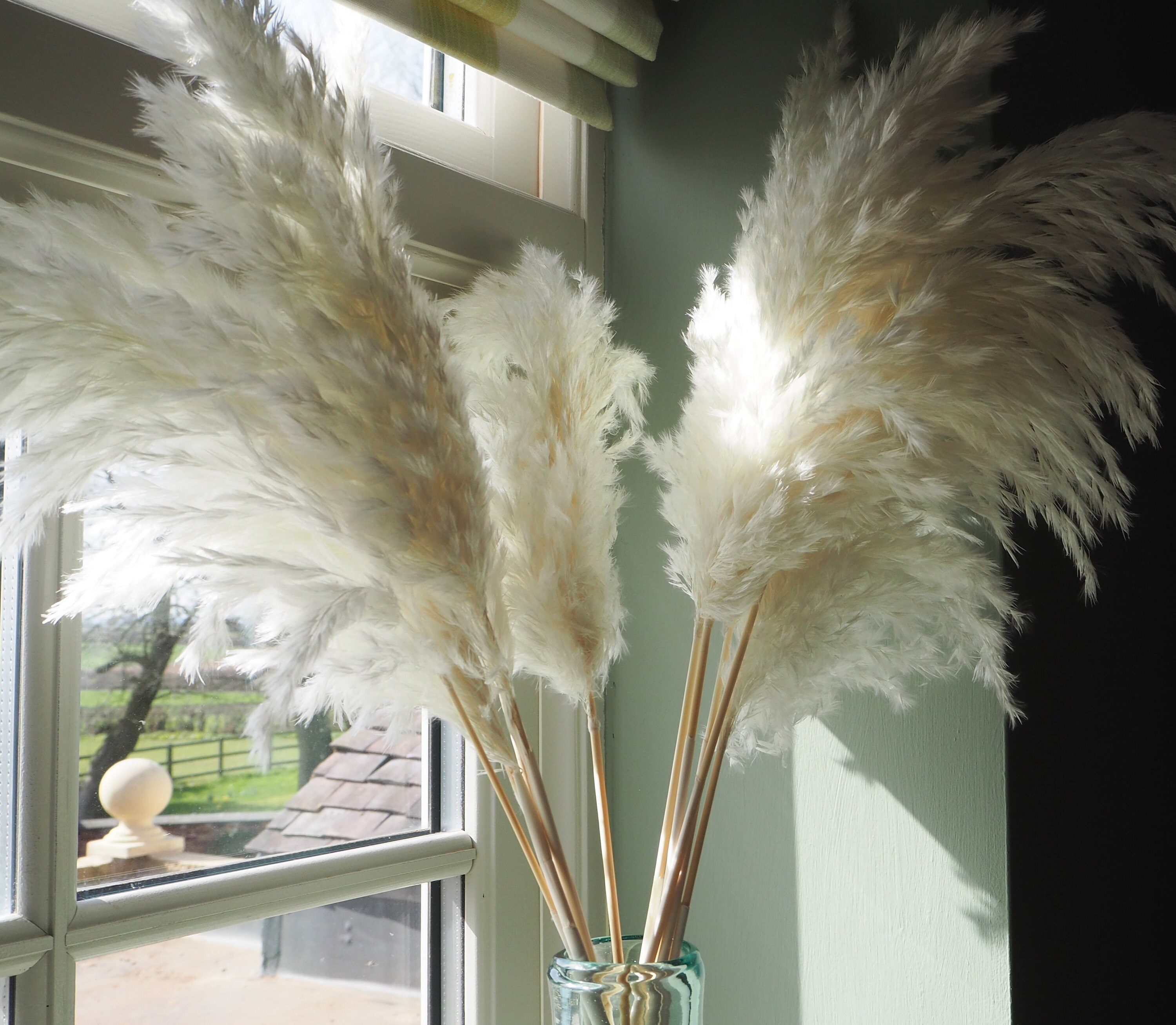 UK Pampas Grass White Pampas Grass Bouquet Dried Flowers Etsy UK