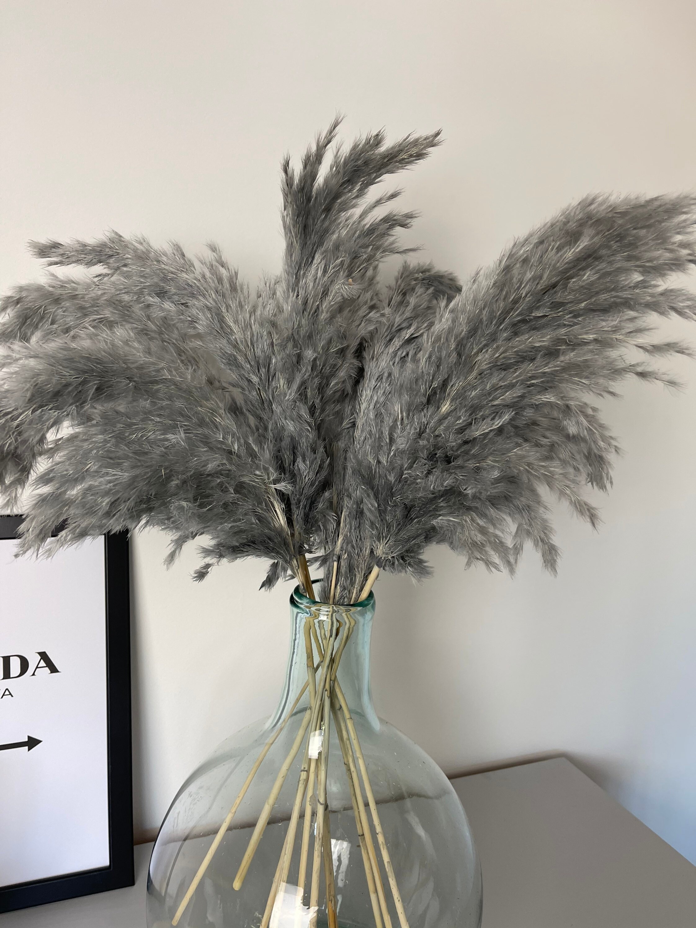 UK Pampas Grass Grey Pampas Grass Bouquet Dried Flowers Etsy UK