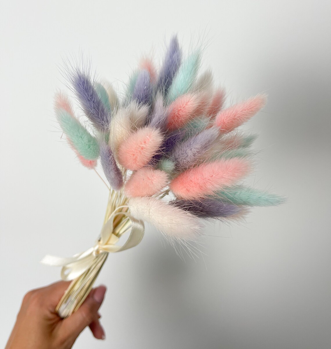 Pastel Bunny Tail Bouquet Dried Flower Bouquet Bunny Tail Etsy UK